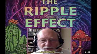 The Rise of Decriminalizing Plant Medicines : A New Paradigm with Dennis McKenna (Clip)