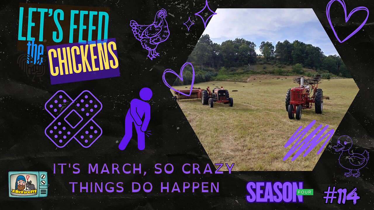 It's March, so crazy things do happen | Let's Feed the Chickens | E114