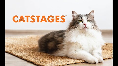 Catstages Lil' Avocato Dental Health Catnip Cat Chew Toy