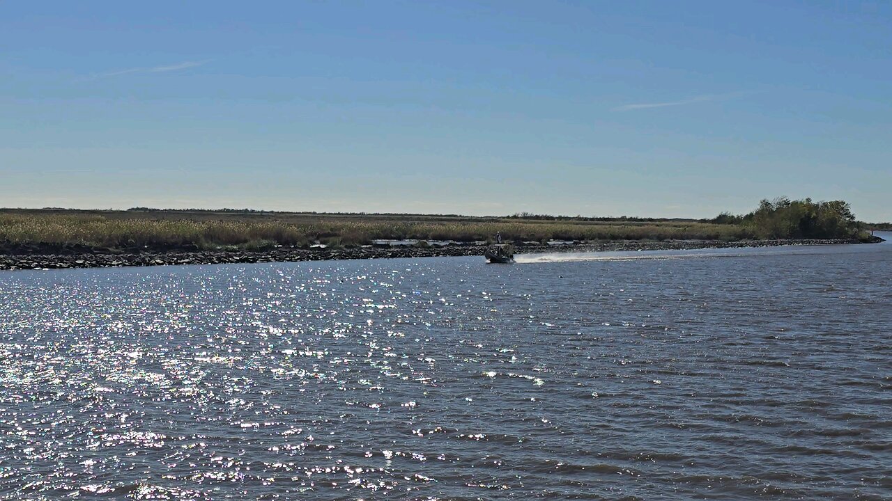 Airboat in south Louisiana