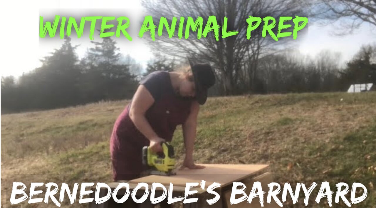 Winter Animal Prep VLOG#046