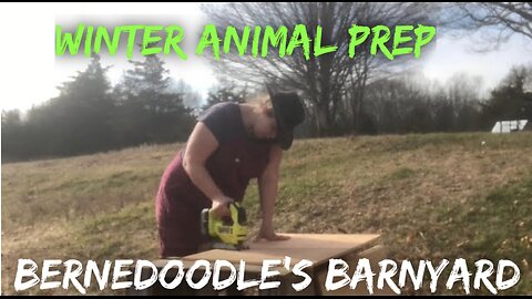 Winter Animal Prep VLOG#046