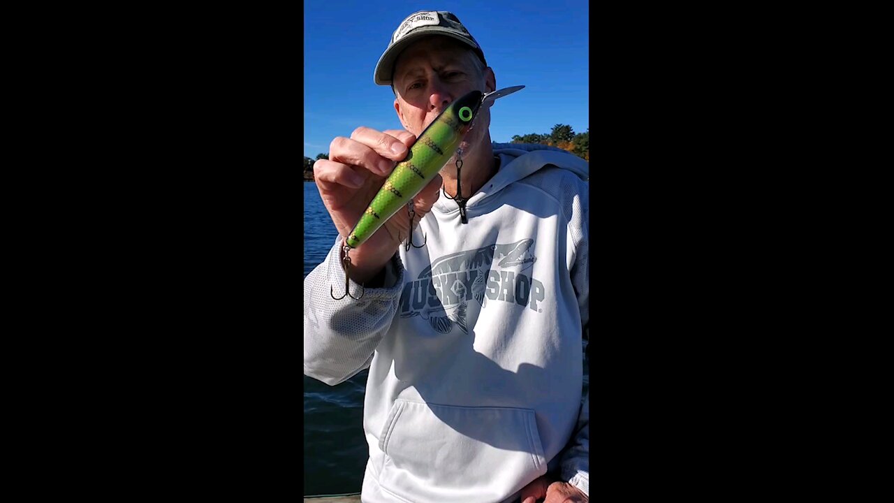 Reef Digger