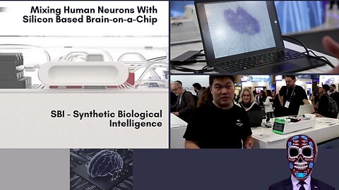 SBI - Synthetic Biological Intelligence: Mixing Human Neurons With Silicon - Brain-on-a-Chip