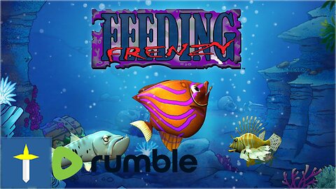 Feeding Frenzy long play stream, testing dgvoodoo