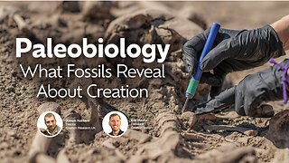 Paleobiology: Do Fossils Reveal Creation? | Eric Hovind & Joseph Hubbard | Creation Today Show #411