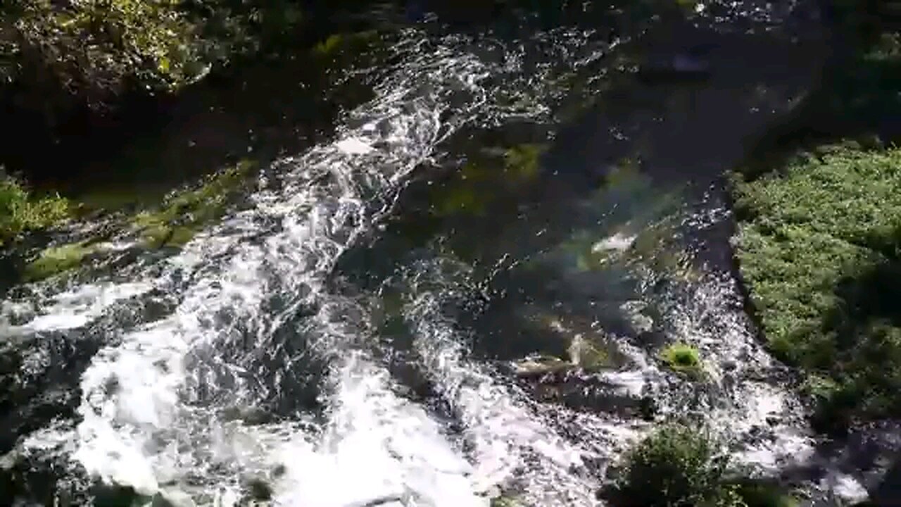 nature