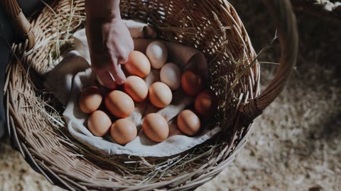 Fresh, Pasture-Raised Eggs from Happy Hens