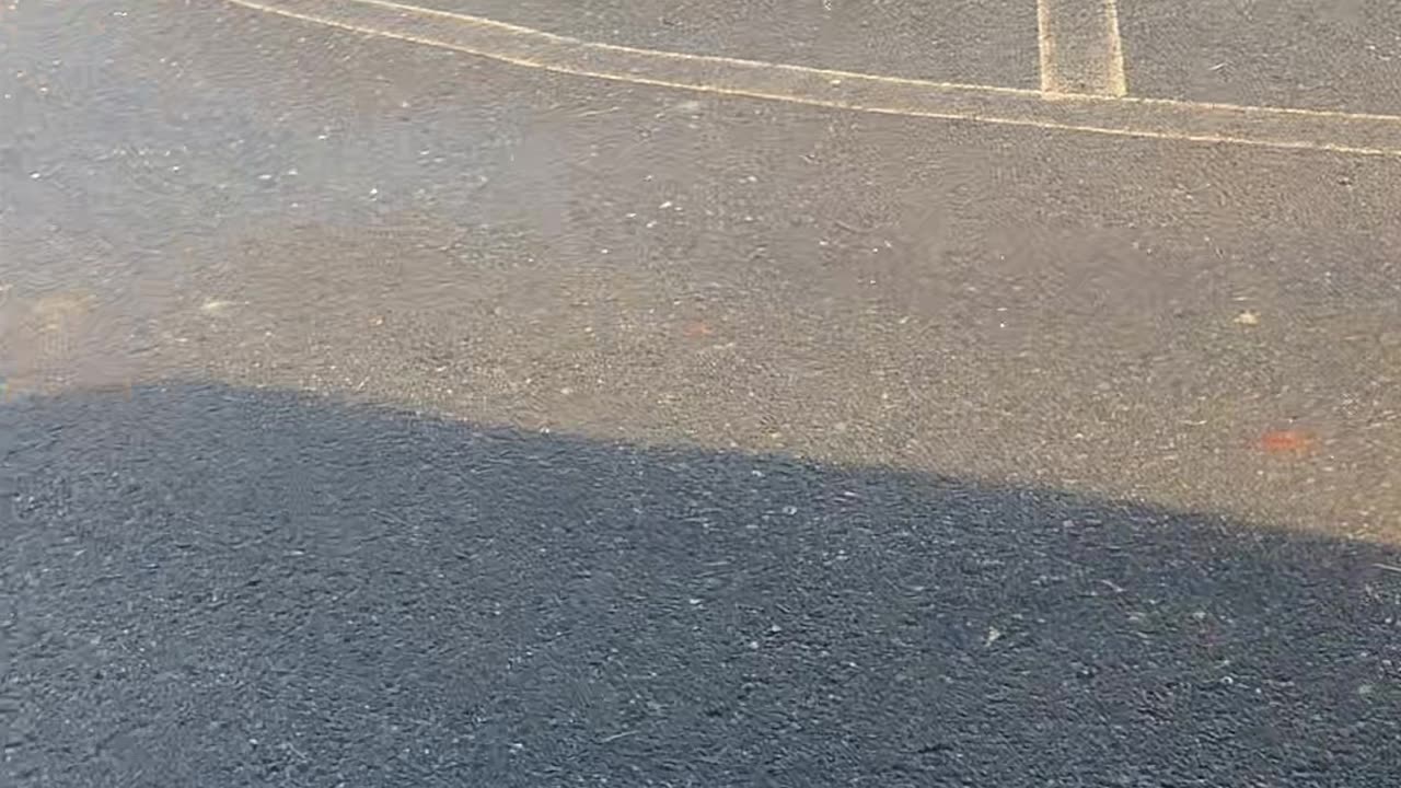 Chef Boy R Dizzy VLOG: #BobVonRotz @JoyceMykleby 🚘 #February #3 #2025 ⏰🗓 ! (O_o)