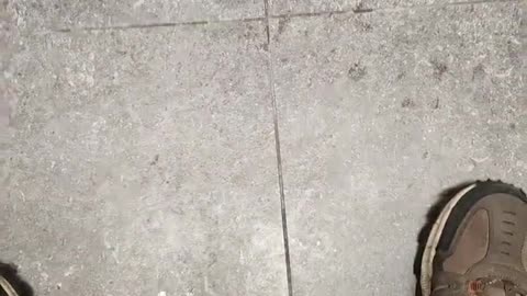 HOLY CRAP