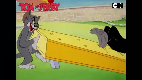 Funny Tom and Jerry- Butch’s Cat-astrophic Date!