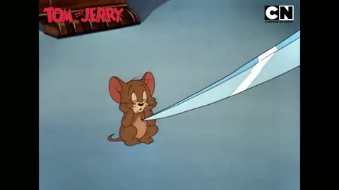 funny Tom & Jerry’s Mishaps & Mayhem!