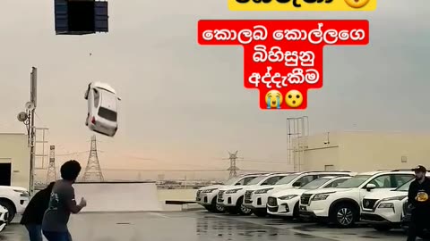 කුරුල්ලා තටුවට අහුවෙද්දිමයි කොල්ලා දොරෙන් විසිඋනේ හයියෝ ඊයෙ උන සිද්දිය