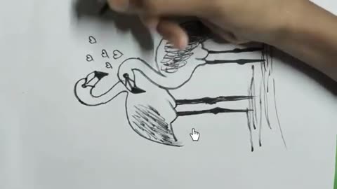 HOW TO DRAW A FLAMINGO