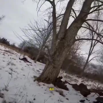 18+ Mercenaries Ambushed: A Troubling and Unclear Situation