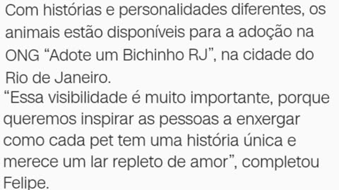 Notícias urgente
