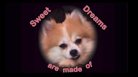 Sweet Dreams