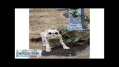 Skeleton Bones the Dog Decoration Review