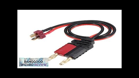 T Plug to 4mm Banana Plug Charging Cable Wire for SKYRC D100V2 Review