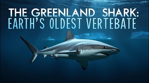 The Greenland Shark : The Earth’s Oldest Vertebrate & Its Mysterious Life