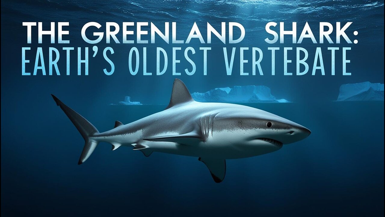 The Greenland Shark : The Earth’s Oldest Vertebrate & Its Mysterious Life