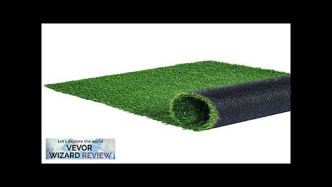 VEVOR Artifical Grass 6 x 10 ft Rug Green Turf 1.38"Fake Door Review