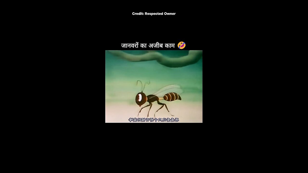 funny 🤣🤣🤣🤣🤣🤣🤣🤣🤣🤣🤣🤣🤣🤣🤣🤣🤣🤣🤣🤣🤣🤣🤣🤣🤣🤣🤣🤣🤣🤣🤣🤣🤣🤣🤣🤣🤣🤣🤣🤣🤣🤣🤣🤣🤣🤣🤣