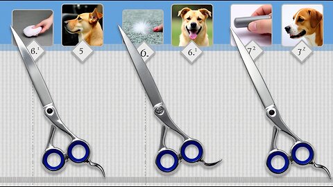 ✂ Which type of scissors is best for thick-coated dogs?
