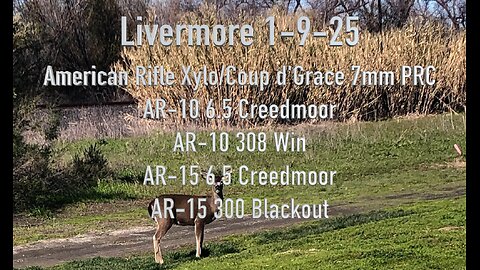 Livermore 1-9-25