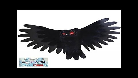 Animated Owl 35 Inch Motion Activated Halloween Decoration Review