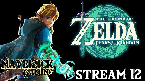 | Tears of The Kingdom # 12 | Amiibo Drops! | Shrine Hunting! |