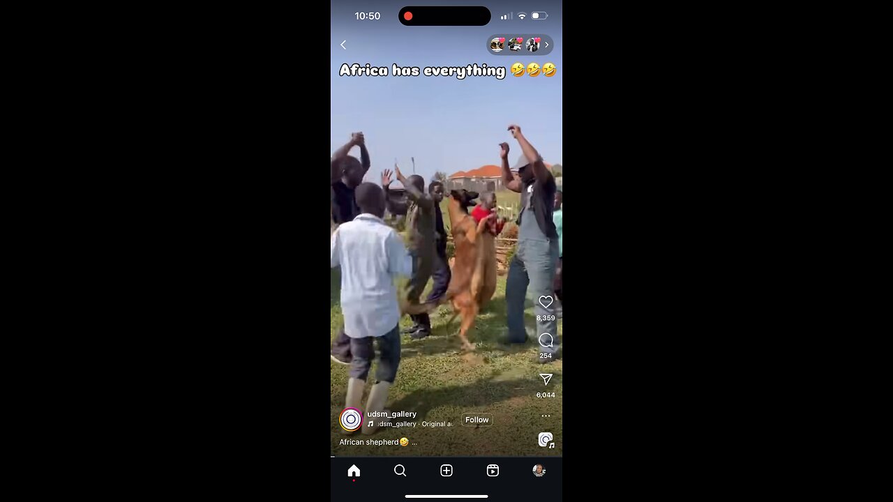 Africa is a place of happiness