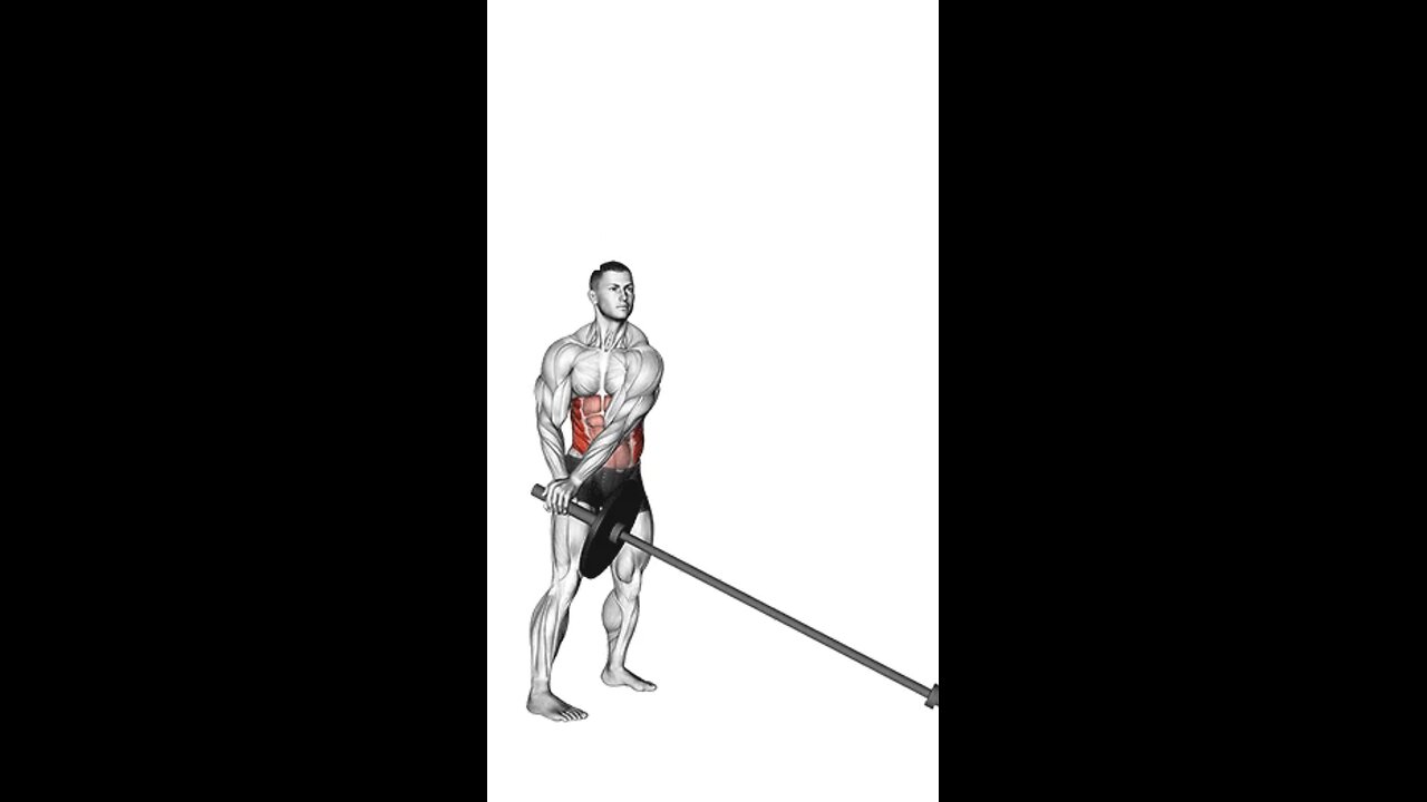 Landmine Twist Exercise.
