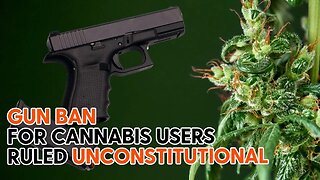 Federal Court Rules Gun Ban for Cannabis Users UNCONSTITUTIONAL