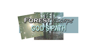 Forest Escape Losing Fuzzy on Christmas and Christmas Love, God's Grace the Greatest Gift of All