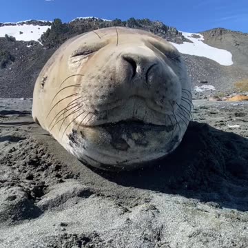 Mr I sneeze a lot 😂