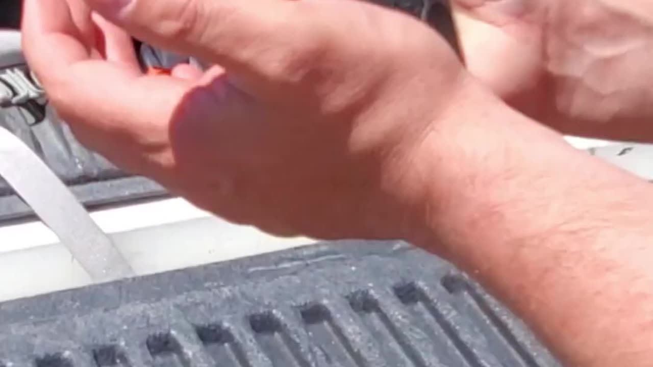 Best Budget Competition Pistol_