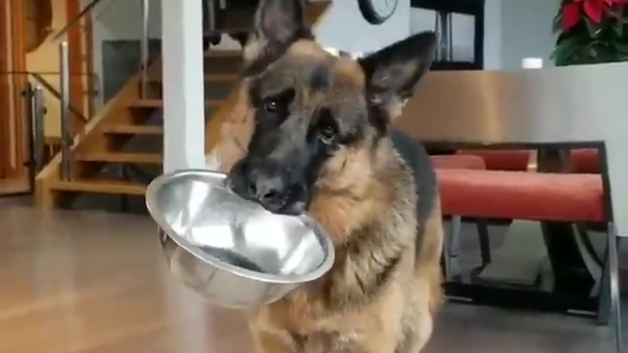 Just give me the food.. 😂