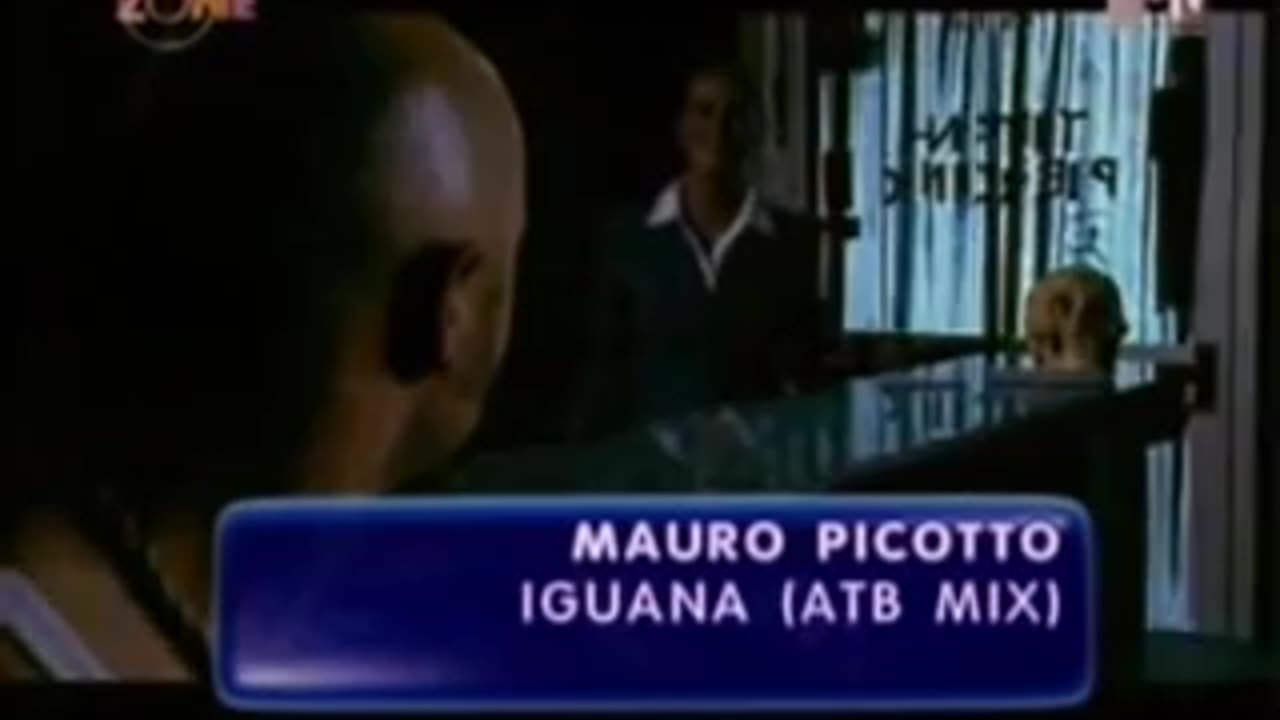 iguana - mauro picotto