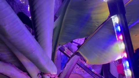Grow lights for winter nights