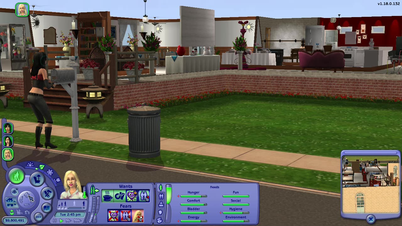Another Sims 2 skunk glitch