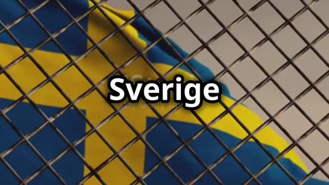 Billigare böter för att köra mot gult