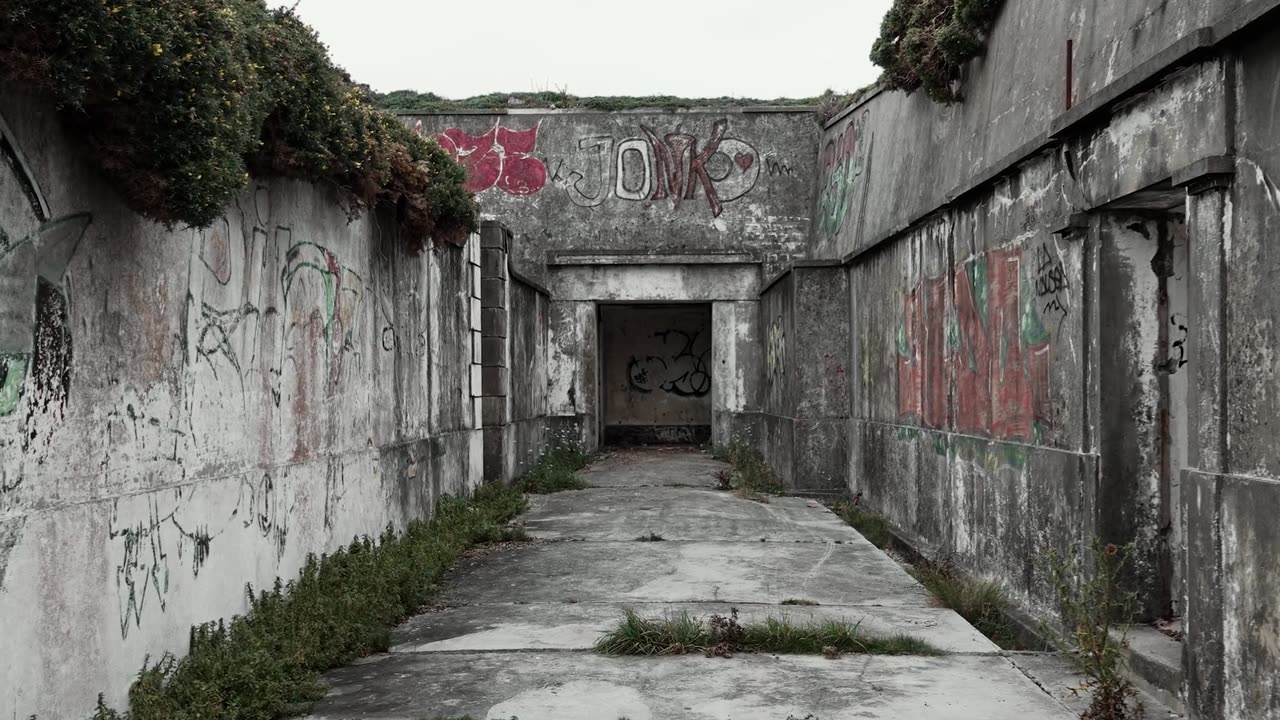 Alan Walker - Avalon concept