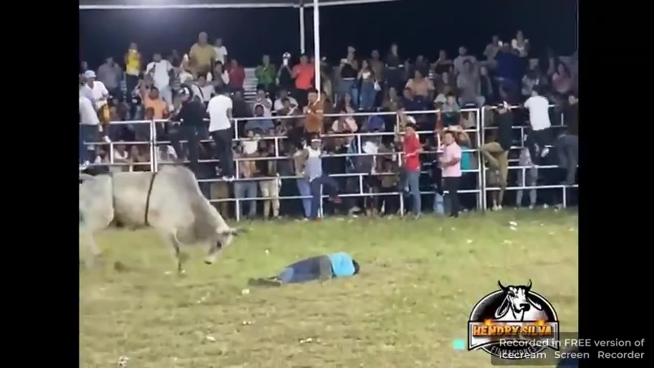 Fucked by Nicaraguan bull.mp4