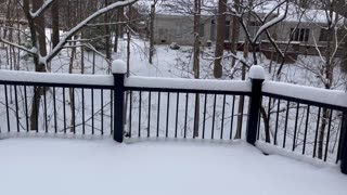 January 6, 2025 - My Snow Covered Deck