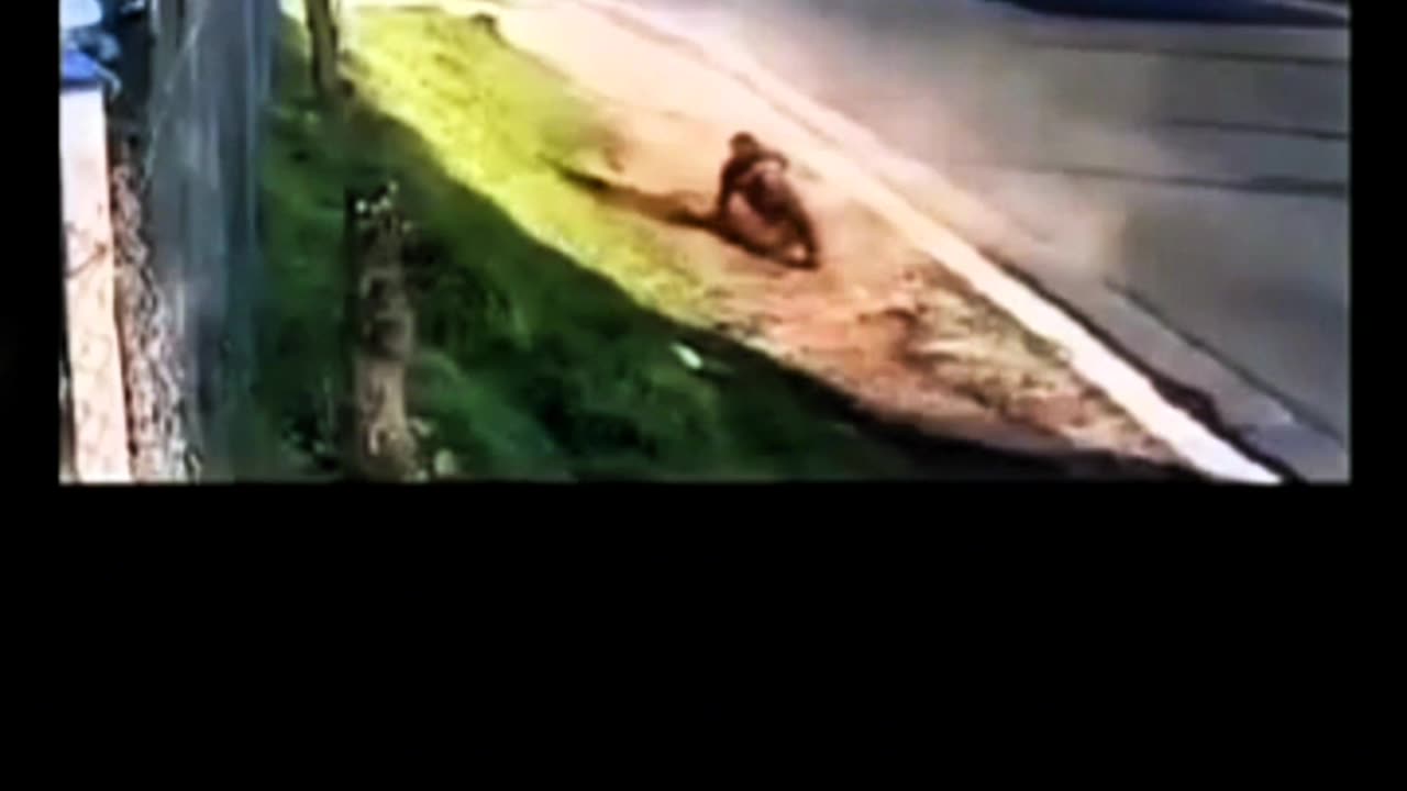 MAN IS RUN OVER BY A CAR WITHOUT ANY DAMAGE AMAZING! 😱😱😱😱