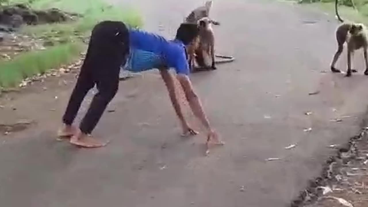 monkey vs men