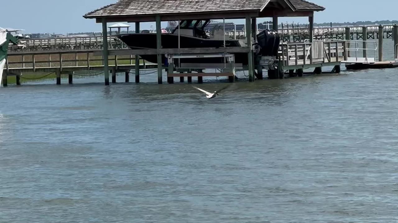 Shem Creek Kayak