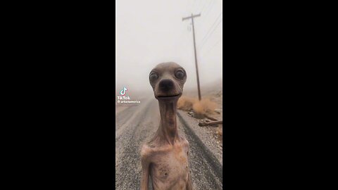 tik Tok video 😳
