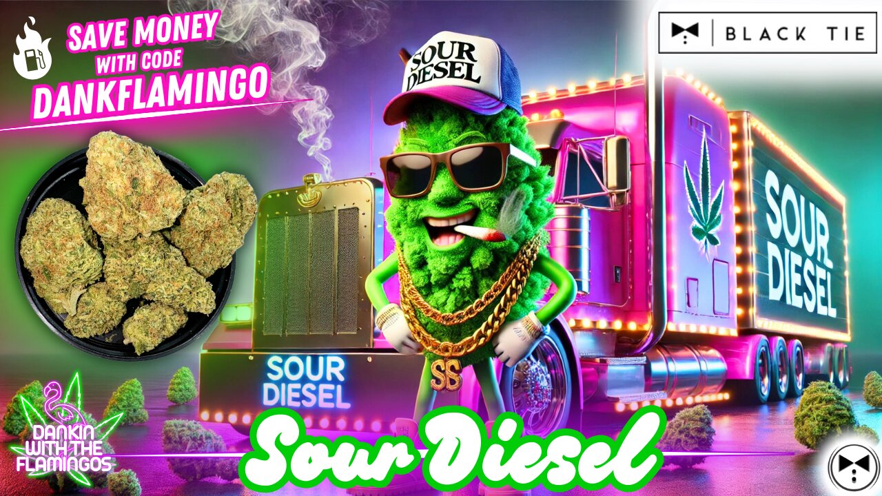 Testing Out the Classic Sour Diesel from Black Tie CBD! Dankin with the Flamingos Review!!